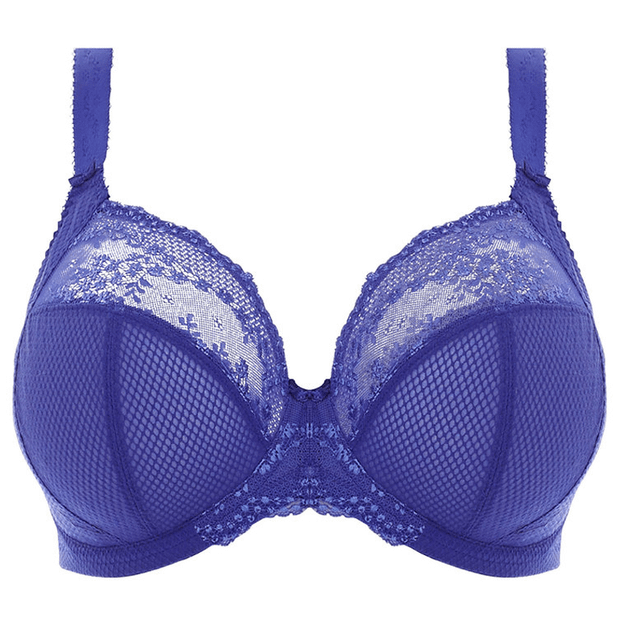 Elomi Charley Plunge BH Ultramarine