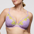 Ixia Plunge BH