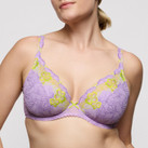 Primadonna Ixia Plunge BH Wisteria