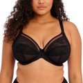 Kendra Plunge BH