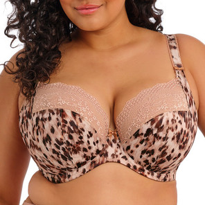 Elomi Lucie Plunge BH Wildcat