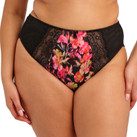 Elomi Morgan Tailleslip Hot House