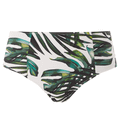 Palm Valley Hoog Bikinibroekje