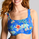 Panache Swim Paradiso Bikinitop Print