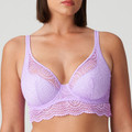Petit Paris Plunge BH