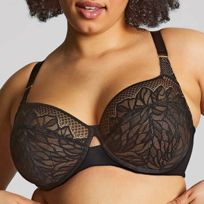 Sculptresse Sophia Full Cup BH Black