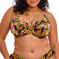 Tiger Valley Plunge Bikinitop
