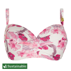 Tropics Bandeau Bikinitop