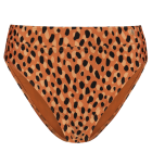 Leopard Spots High Waist Bikinibroekje