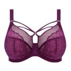 Brianna Plunge BH