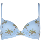 Island Souvenir Voorgevormde Bikinitop