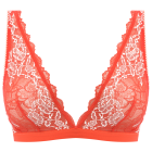 Lace Perfection Bralette