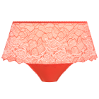 Lace Perfection Short