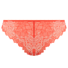 Lace Perfection String