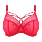 Sachi Plunge BH