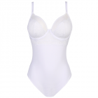 Sophora Body