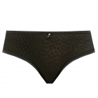 Starlight Short