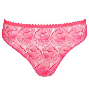 Belgravia String
