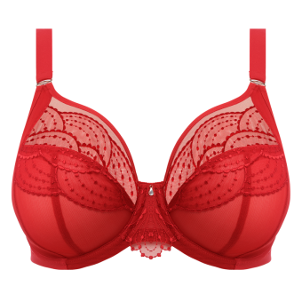 Priya Plunge BH