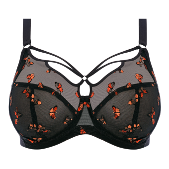 Sachi Plunge BH