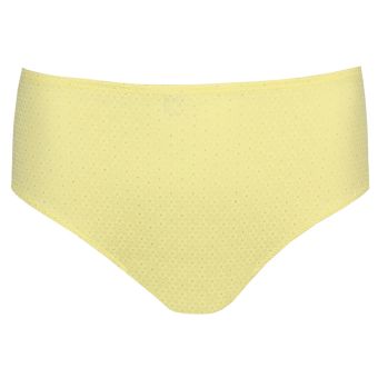 Sapri Tailleslip