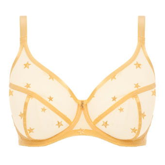 Snapshot Star Plunge BH