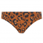 Freya Swim Roar Instinct Bikinibroekje Leopard