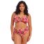 Elomi Swim Cabana Nights Bikinibroekje Multi