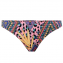 Freya Swim Cala Fiesta Brazilian Bikinibroekje Multi