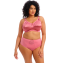Elomi Cate Hoge Slip Desert Rose