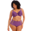 Elomi Lingerie Charley Hoge Slip Pansy