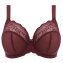 Elomi Charley Plunge BH Aubergine