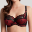 Panache Clara Full Cup BH Ruby Noir