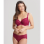 Panache Envy Full Cup BH Orchid