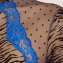 Andres Sarda Fraser Body Fossil