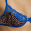 Andres Sarda Fraser Half Cup BH Fossil