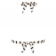 Beachlife Identity Triangle Bikinitop