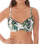 Fantasie Swim Palm Valley Padded Bikinitop Fern