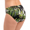 Fantasie Swim Palm Valley Bikinibroekje Black