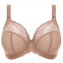 Elomi Charley Plunge BH Fawn