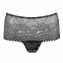 PrimaDonna Twist Rose Sauvage Hotpants Black