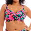 Elomi Badmode Savaneta Bikinitop Black