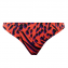 Freya Swim Tiger Bay Brazilian Bikinibroekje Sunset