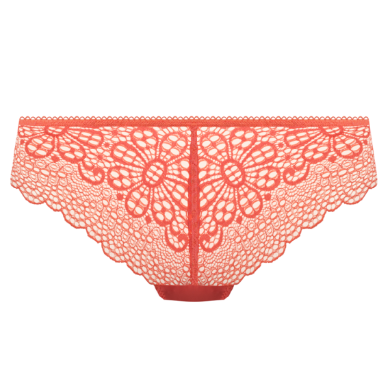 Erin Brazilian String