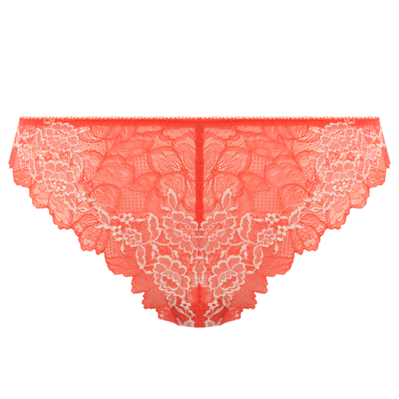 Lace Perfection String