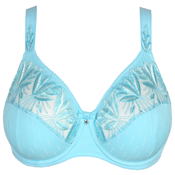 Orlando Comfort BH