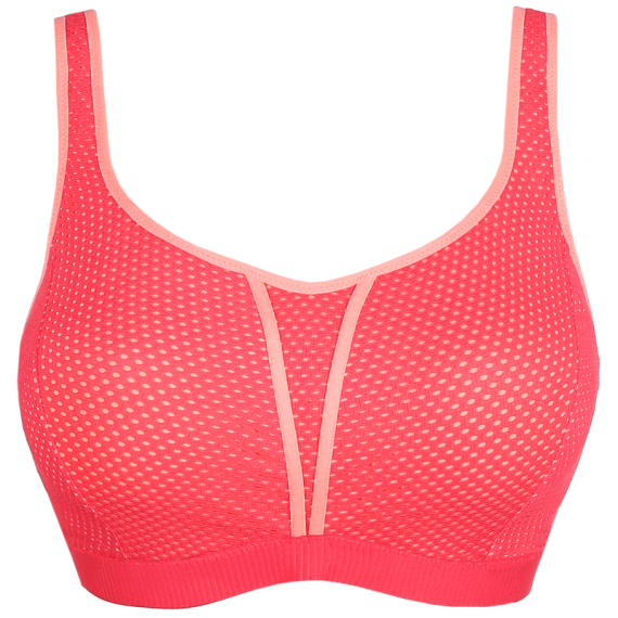 The Mesh Sport BH